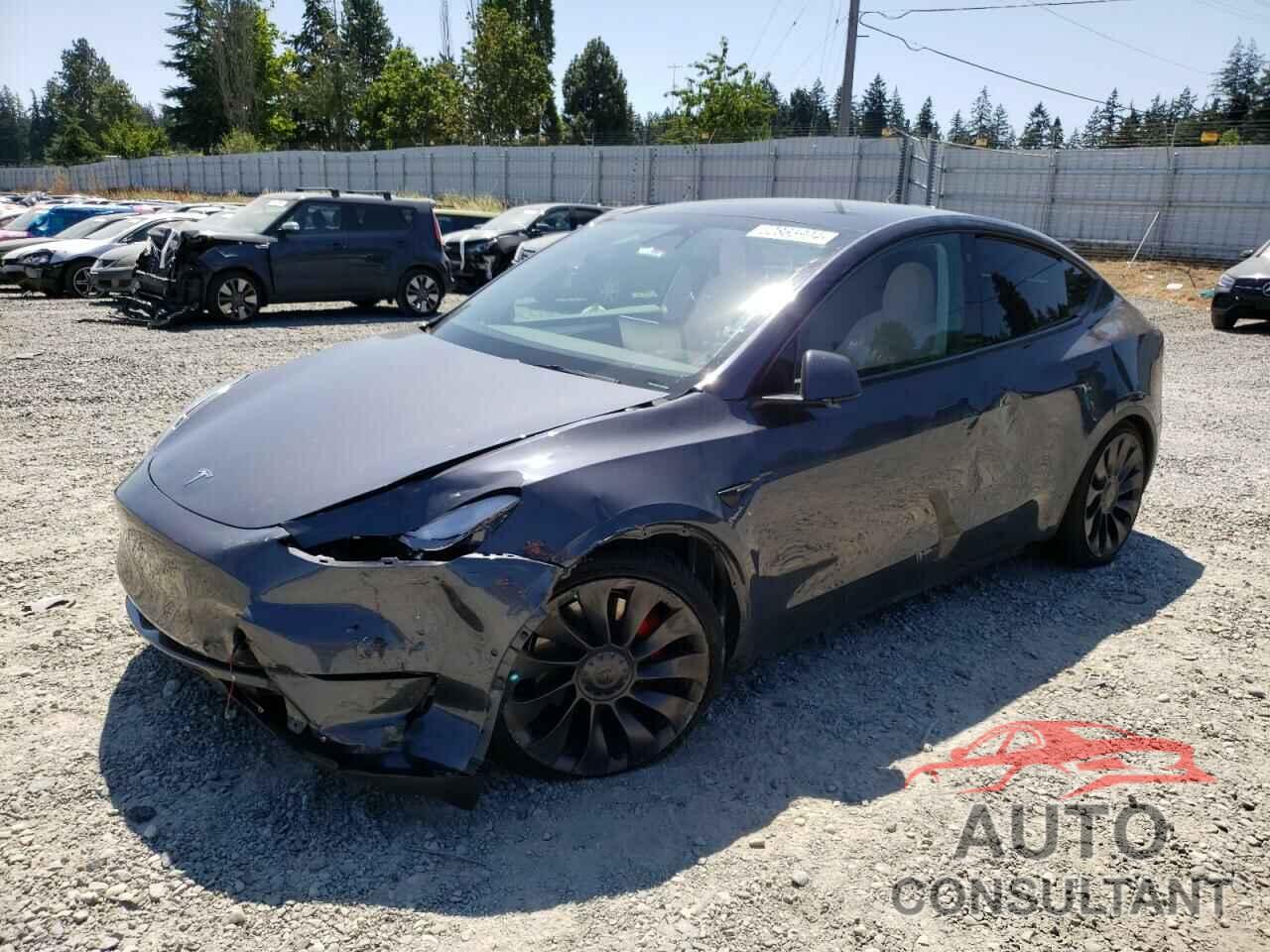 TESLA MODEL Y 2022 - 7SAYGDEF3NF560898