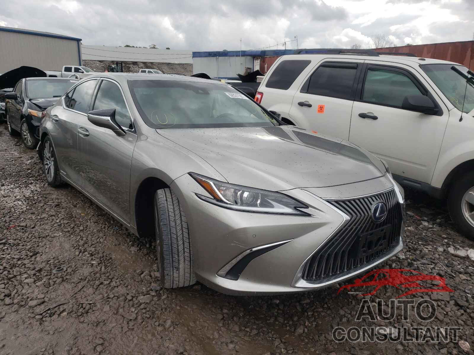 LEXUS ES300 2020 - 58AD21B14LU006344