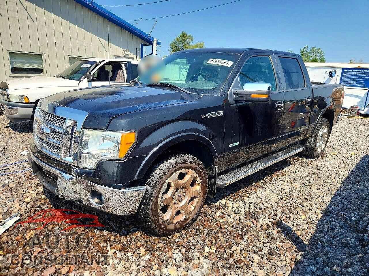 FORD All Models 2012 - 1FTFW1ET9CKD29287