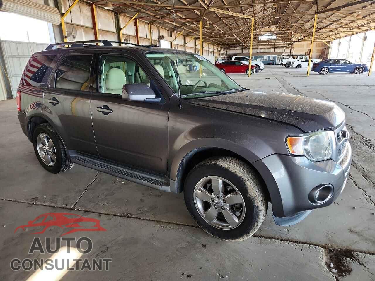 FORD ESCAPE 2010 - 1FMCU9EG2AKB29855