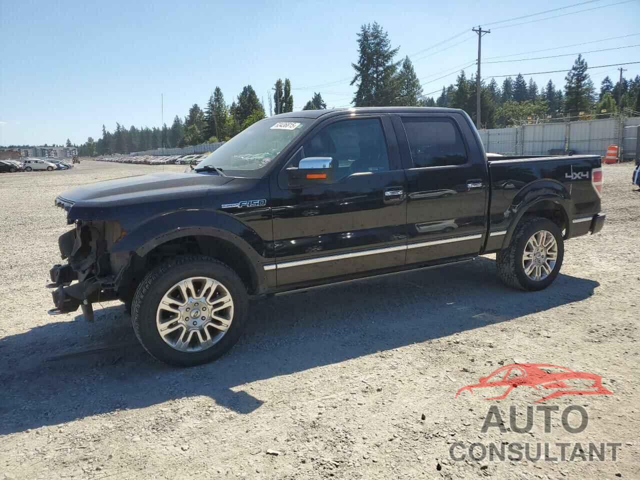 FORD F-150 2009 - 1FTPW14V59FA44112