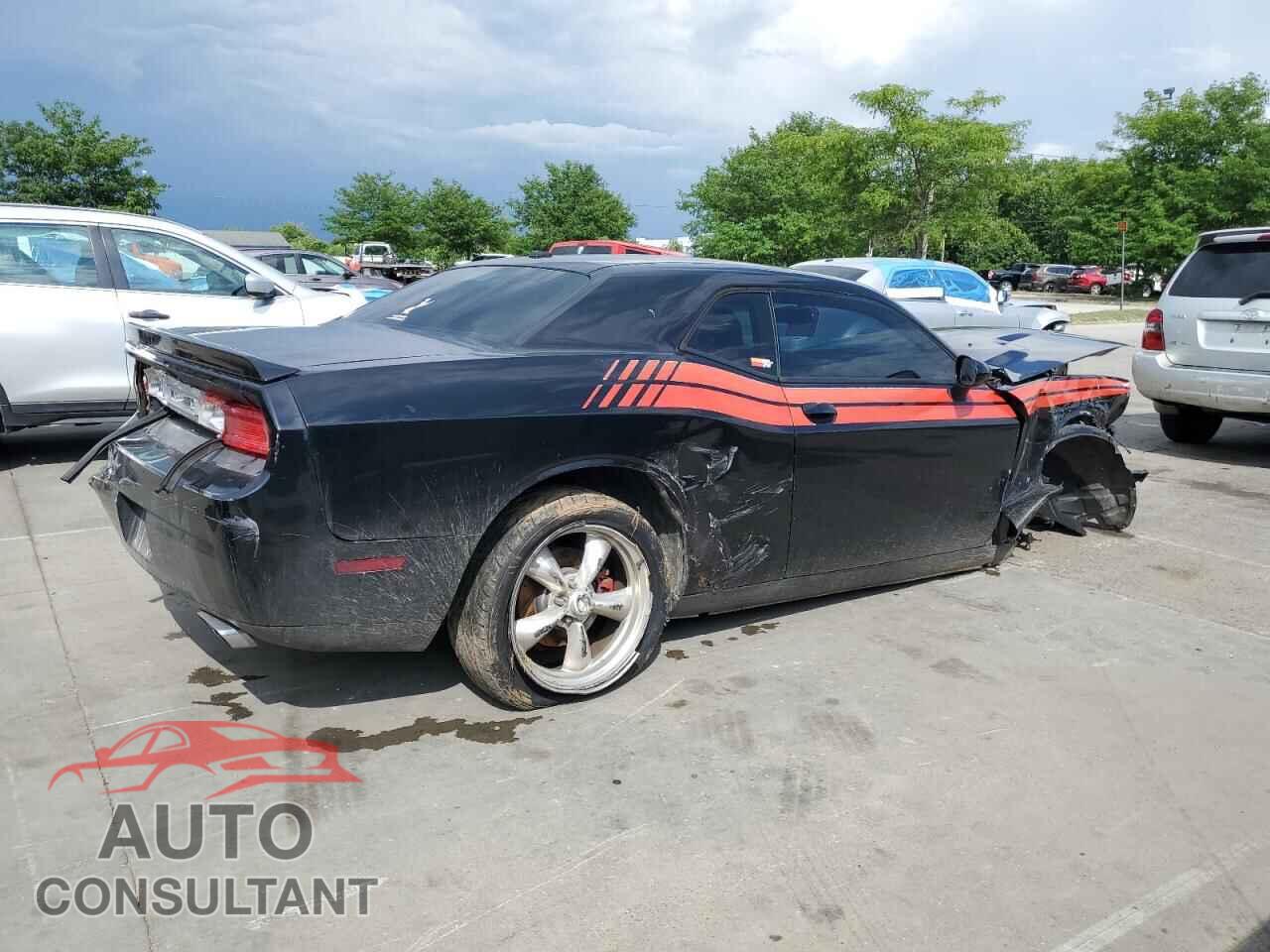 DODGE CHALLENGER 2013 - 2C3CDYBT3DH574055