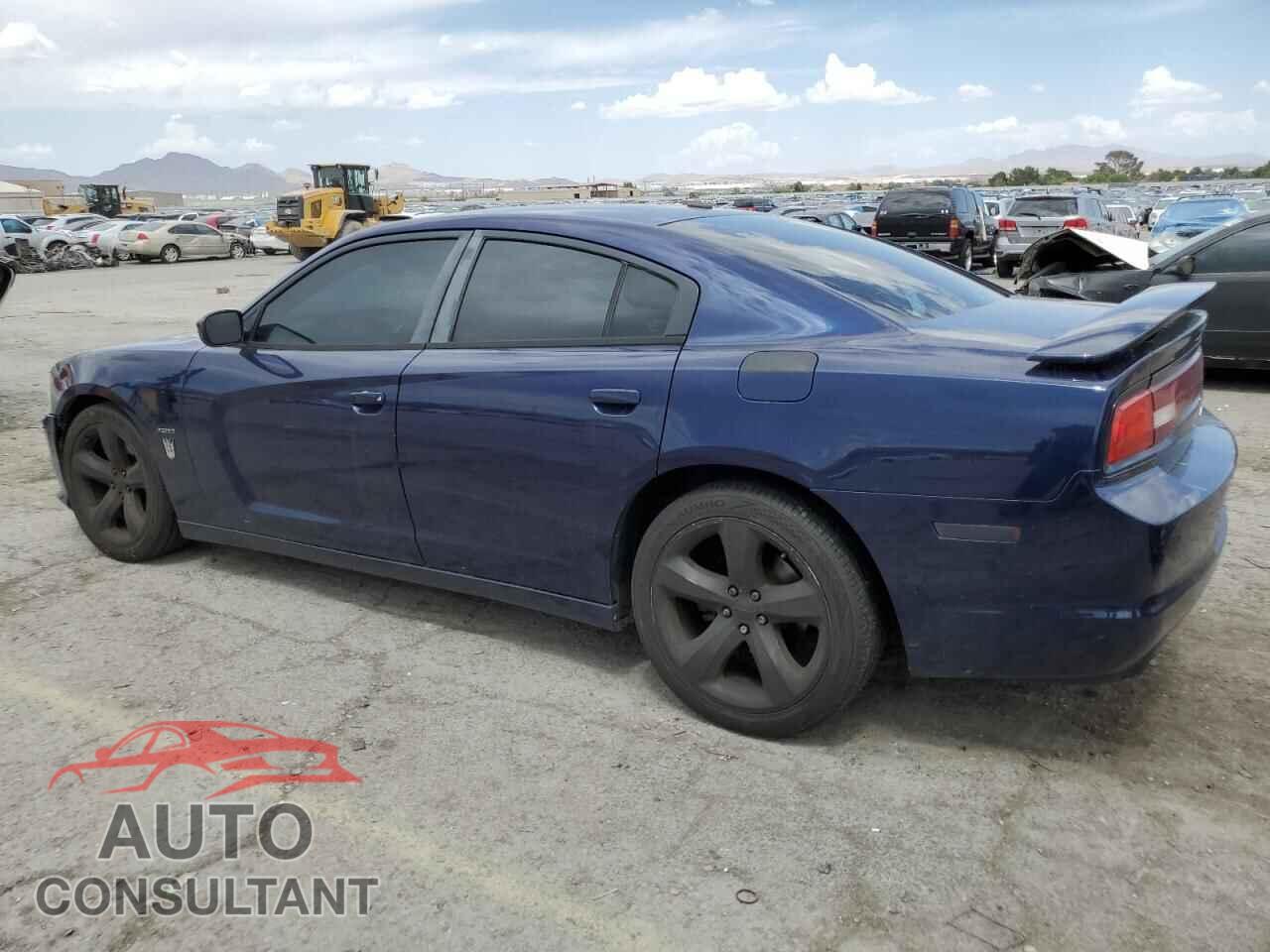 DODGE CHARGER 2013 - 2C3CDXCT3DH595741
