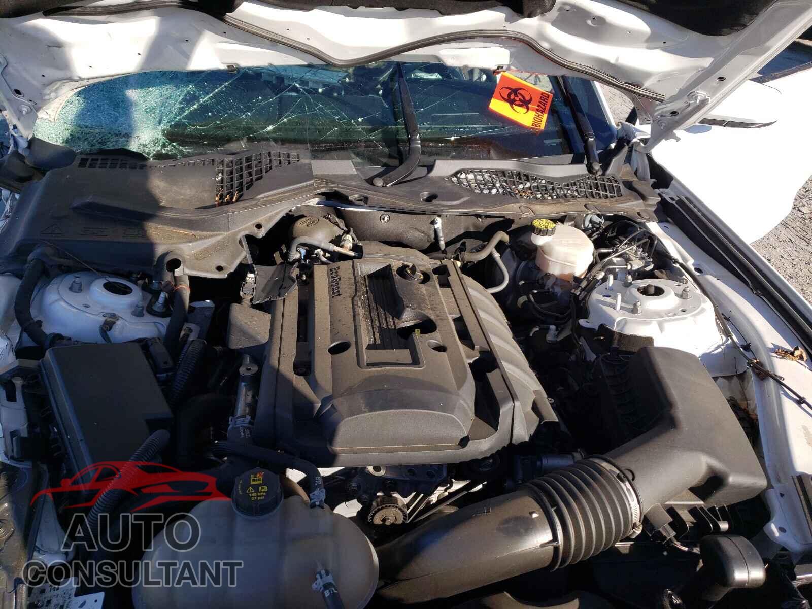 FORD MUSTANG 2019 - 1FA6P8TH9K5166485