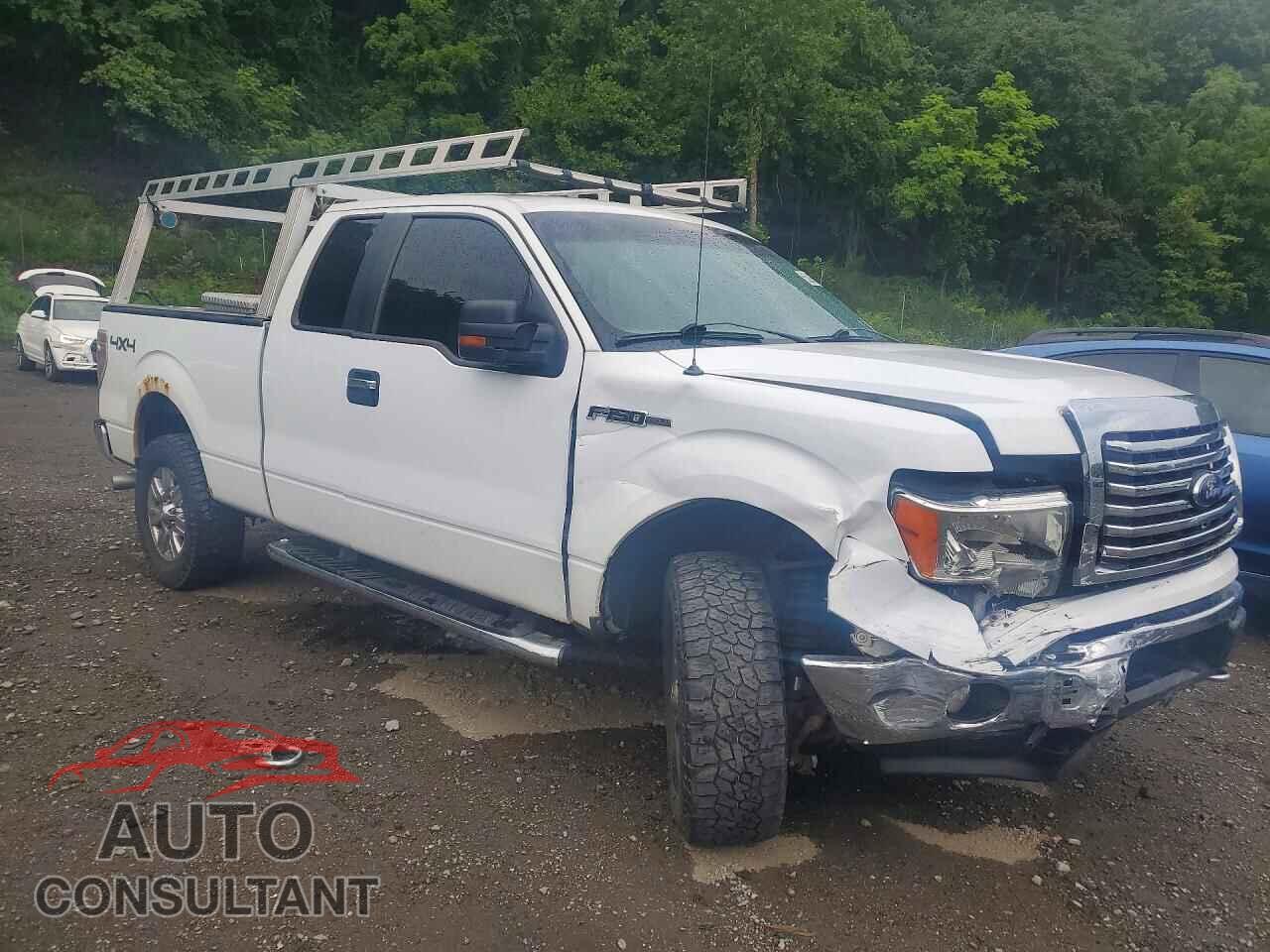 FORD F150 2012 - 1FTFX1EF6CFC86771