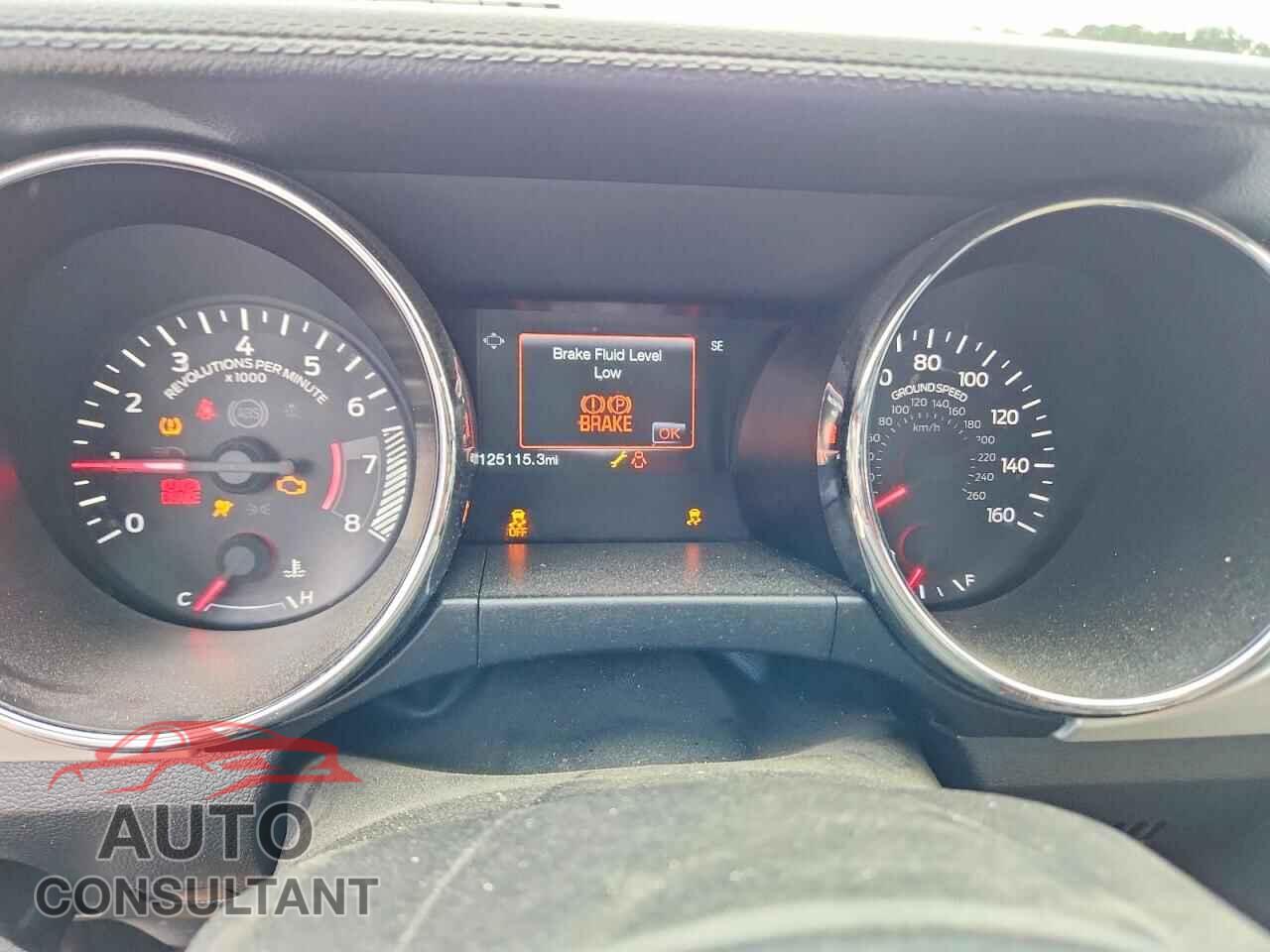 FORD MUSTANG 2015 - 1FA6P8CF1F5335273