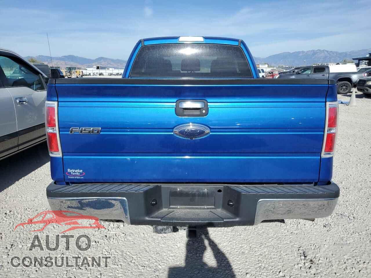 FORD F-150 2011 - 1FTFX1ET4BFA97461