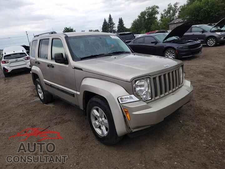 JEEP LIBERTY 2011 - 1J4PN2GK9BW502406