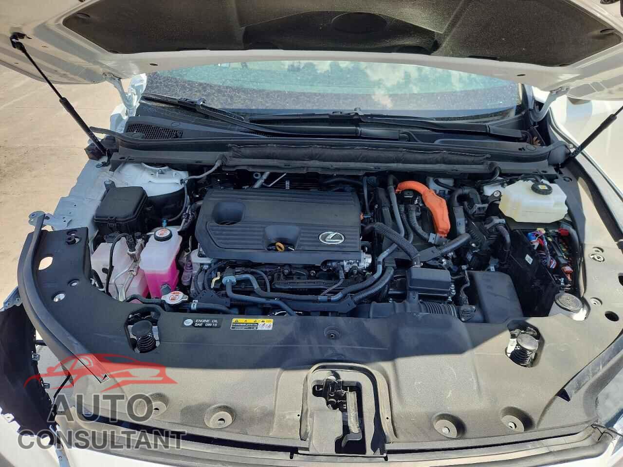 LEXUS UNKNOWN 2025 - 2T2BBMCA0SC088793