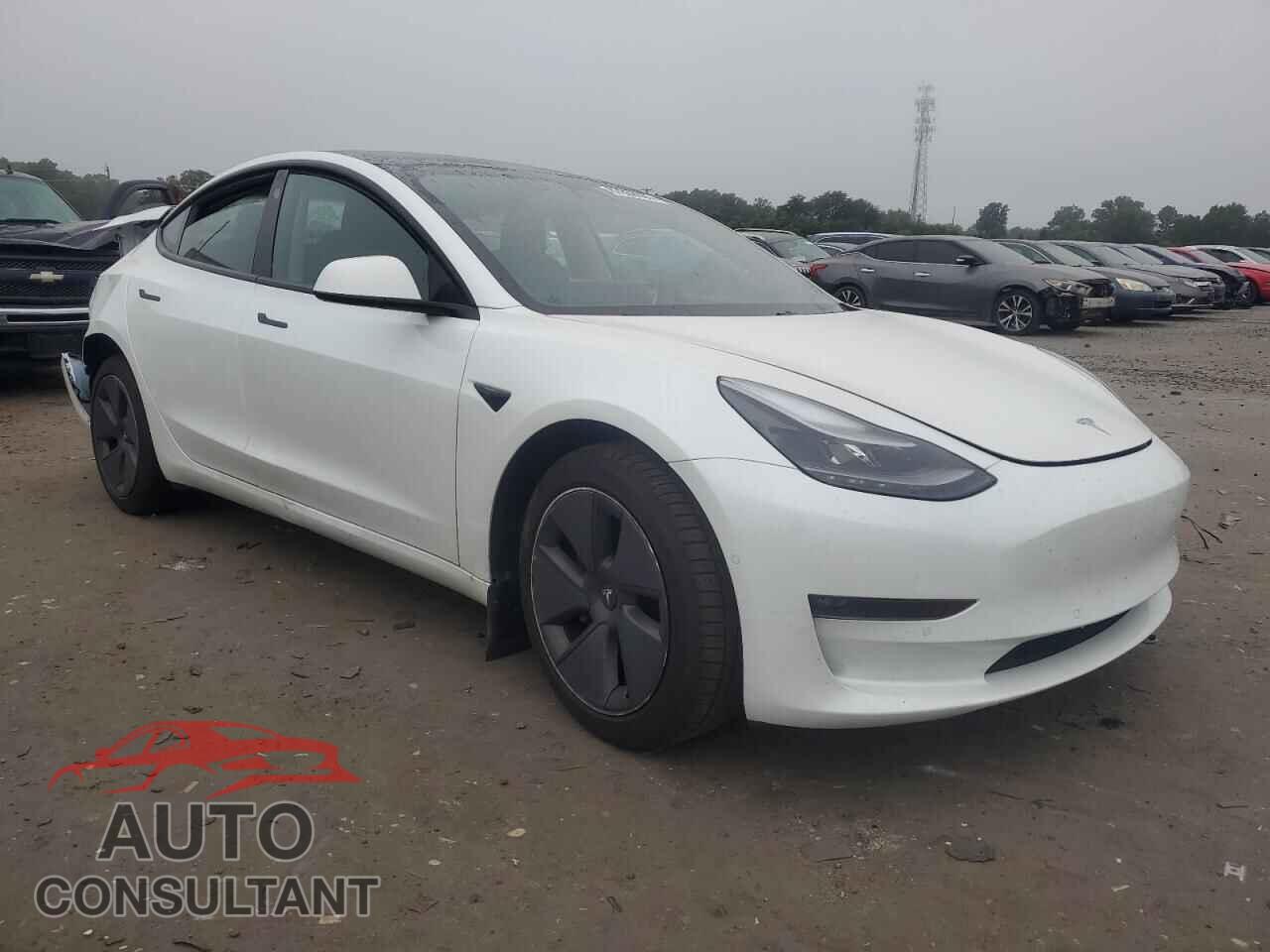 TESLA MODEL 3 2021 - 5YJ3E1EB3MF049831