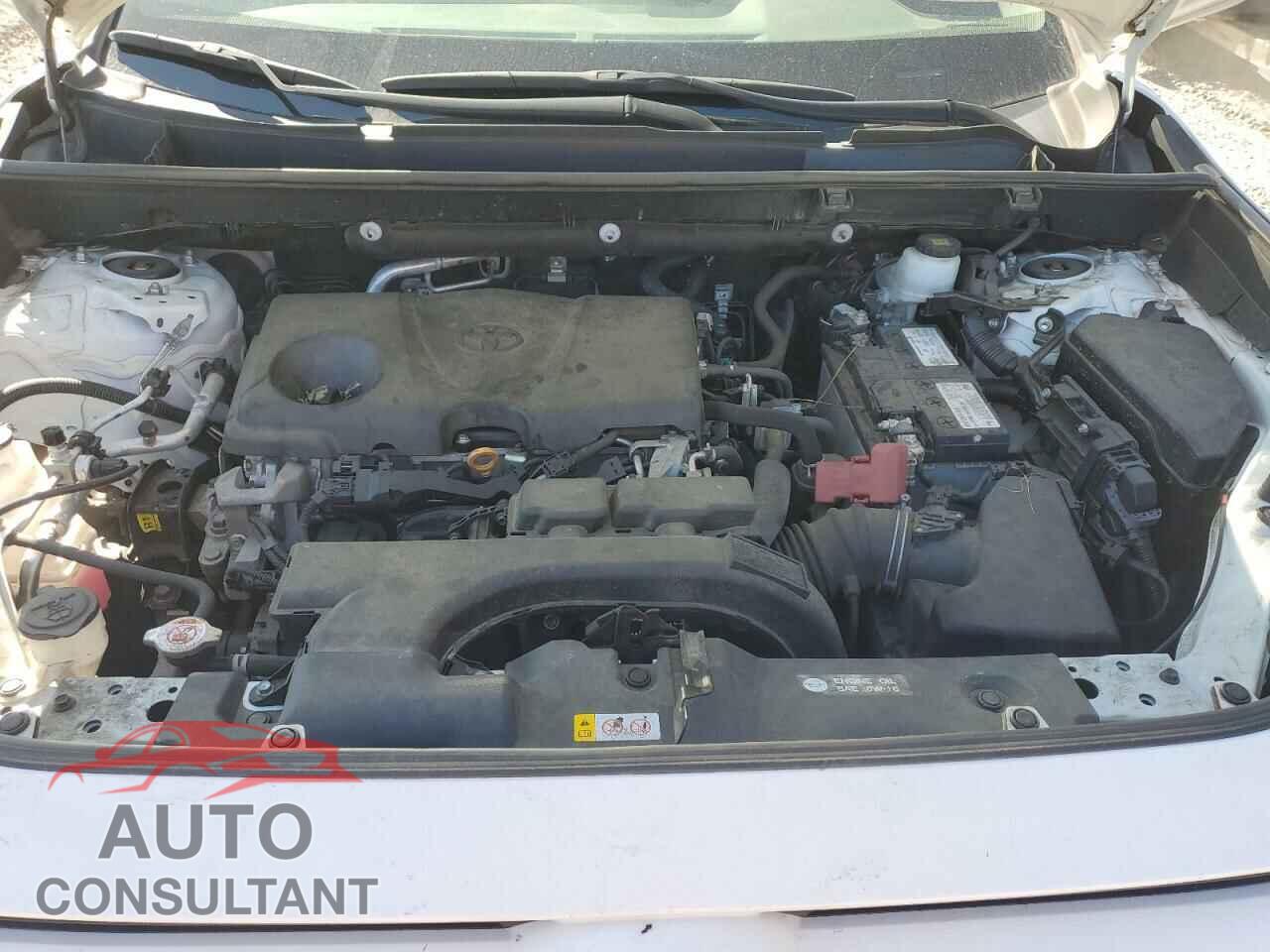 TOYOTA RAV4 2019 - 2T3F1RFVXKC013336