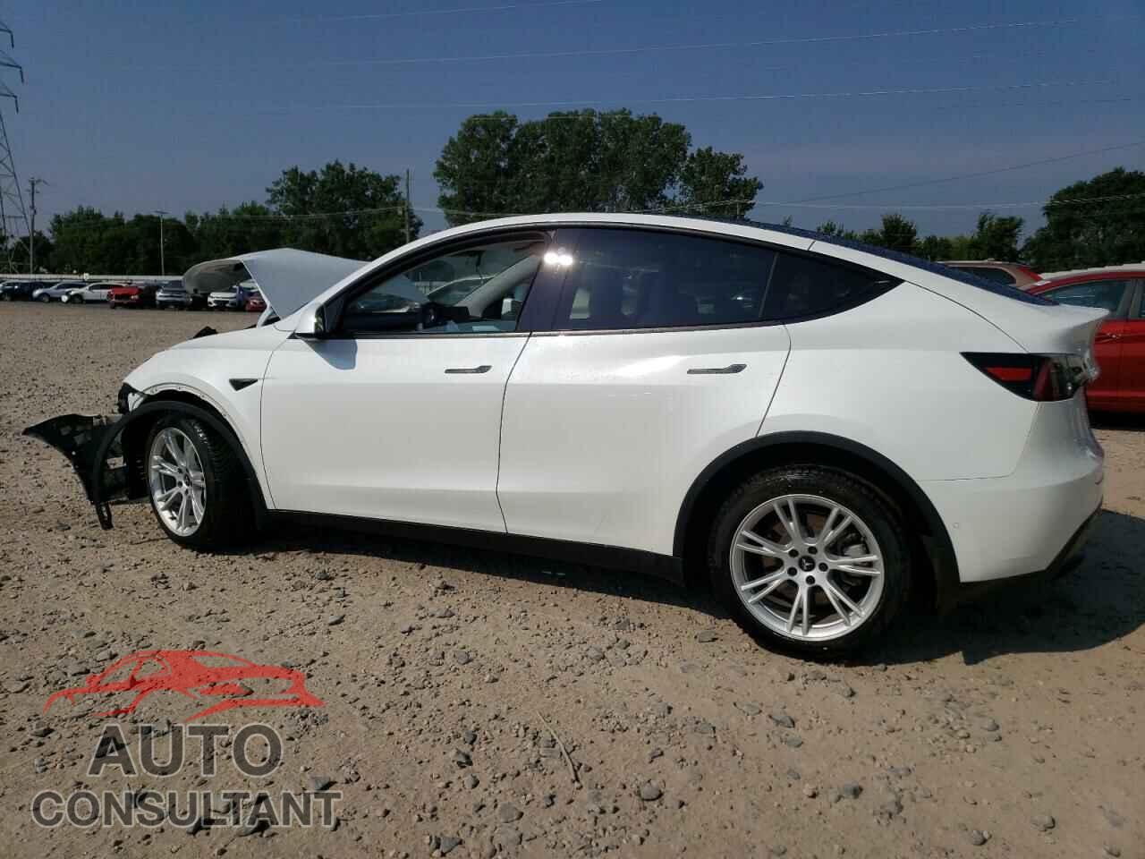 TESLA MODEL Y 2021 - 5YJYGDEEXMF259449