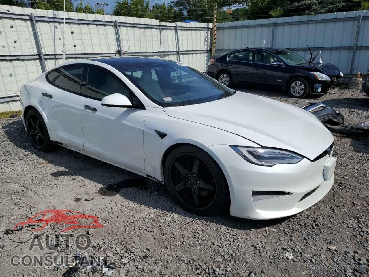 TESLA MODEL S 2021 - 5YJSA1E55MF435510