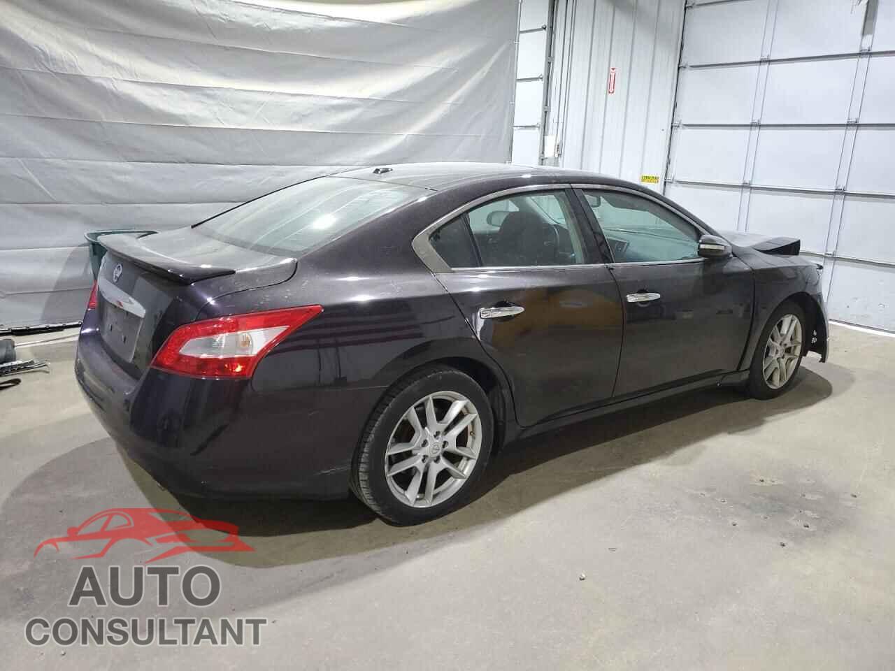 NISSAN MAXIMA 2010 - 1N4AA5AP7AC840082