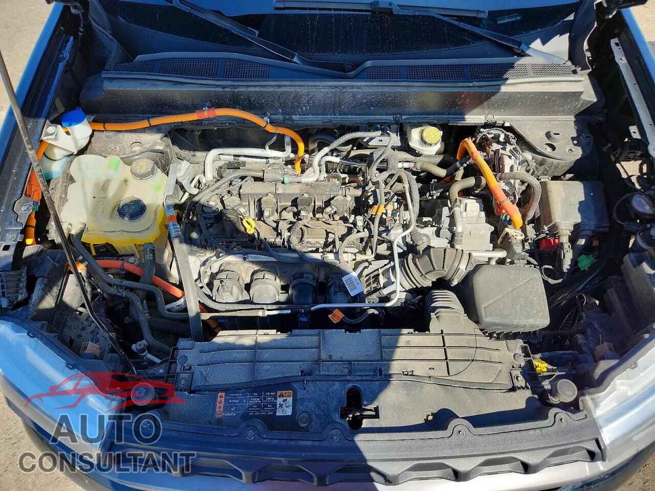 FORD MAVERICK 2024 - 3FTTW8H39RRB47455