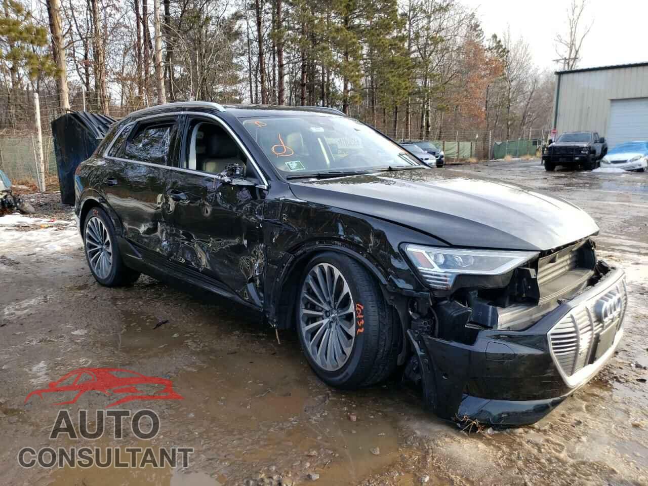AUDI E-TRON 2019 - WA1VABGEXKB020595