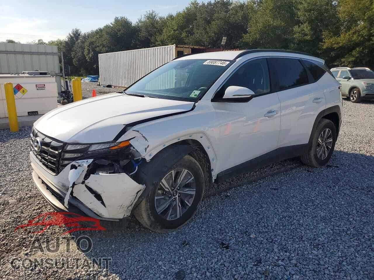 HYUNDAI TUCSON 2022 - KM8JBCA11NU081819