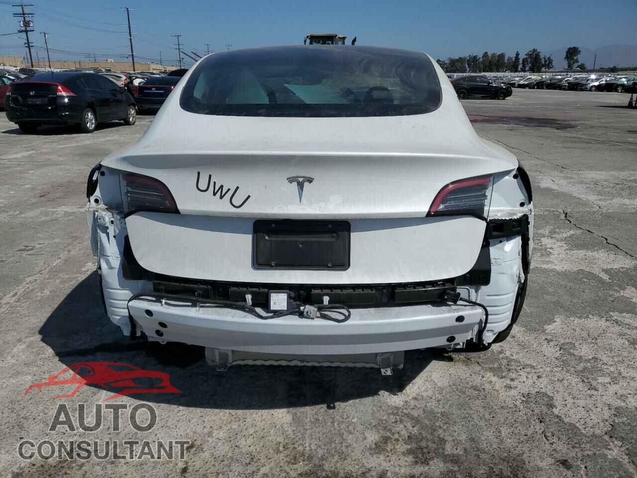 TESLA MODEL 3 2023 - 5YJ3E1EA1PF647718