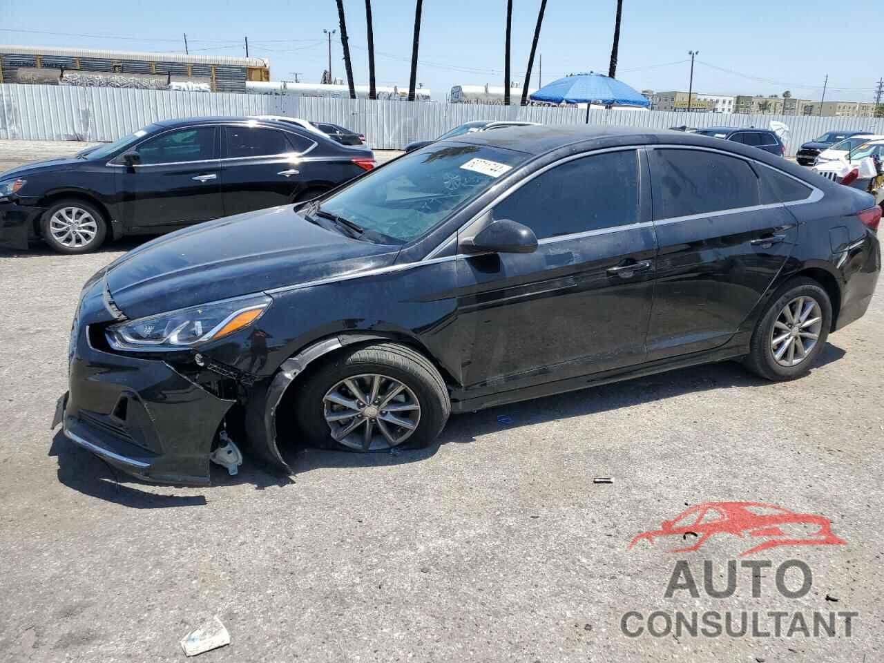 HYUNDAI SONATA 2019 - 5NPE24AF9KH749928