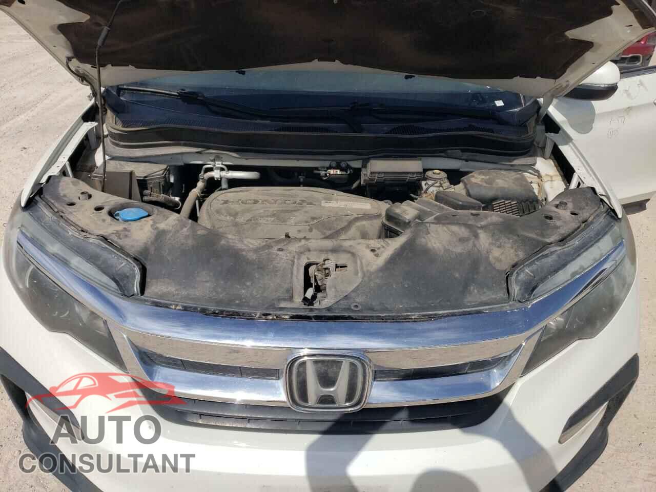 HONDA PILOT 2019 - 5FNYF6H48KB032078