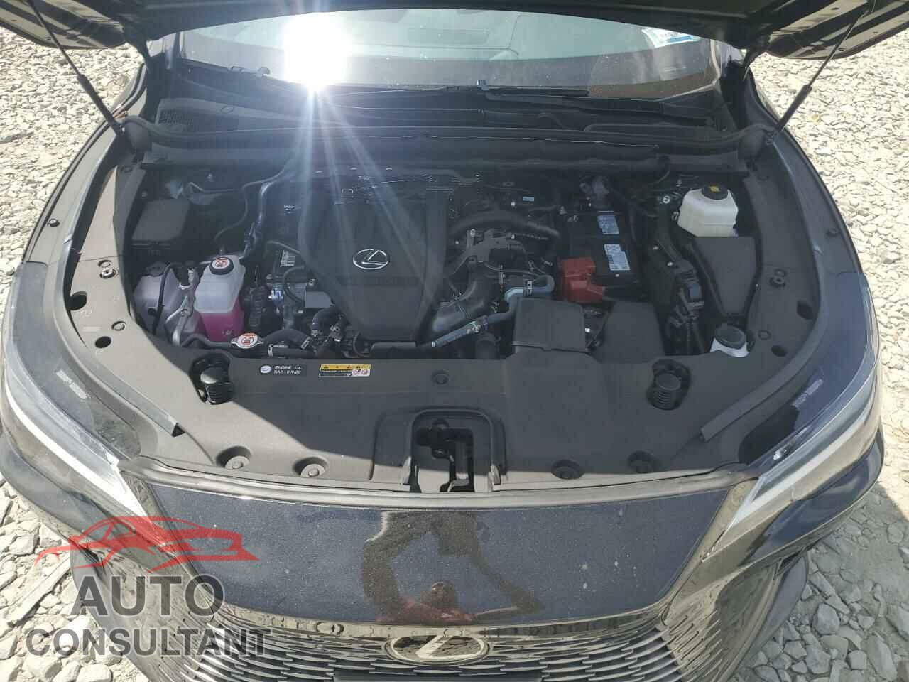 LEXUS RX350 2023 - 2T2BAMCA0PC037031