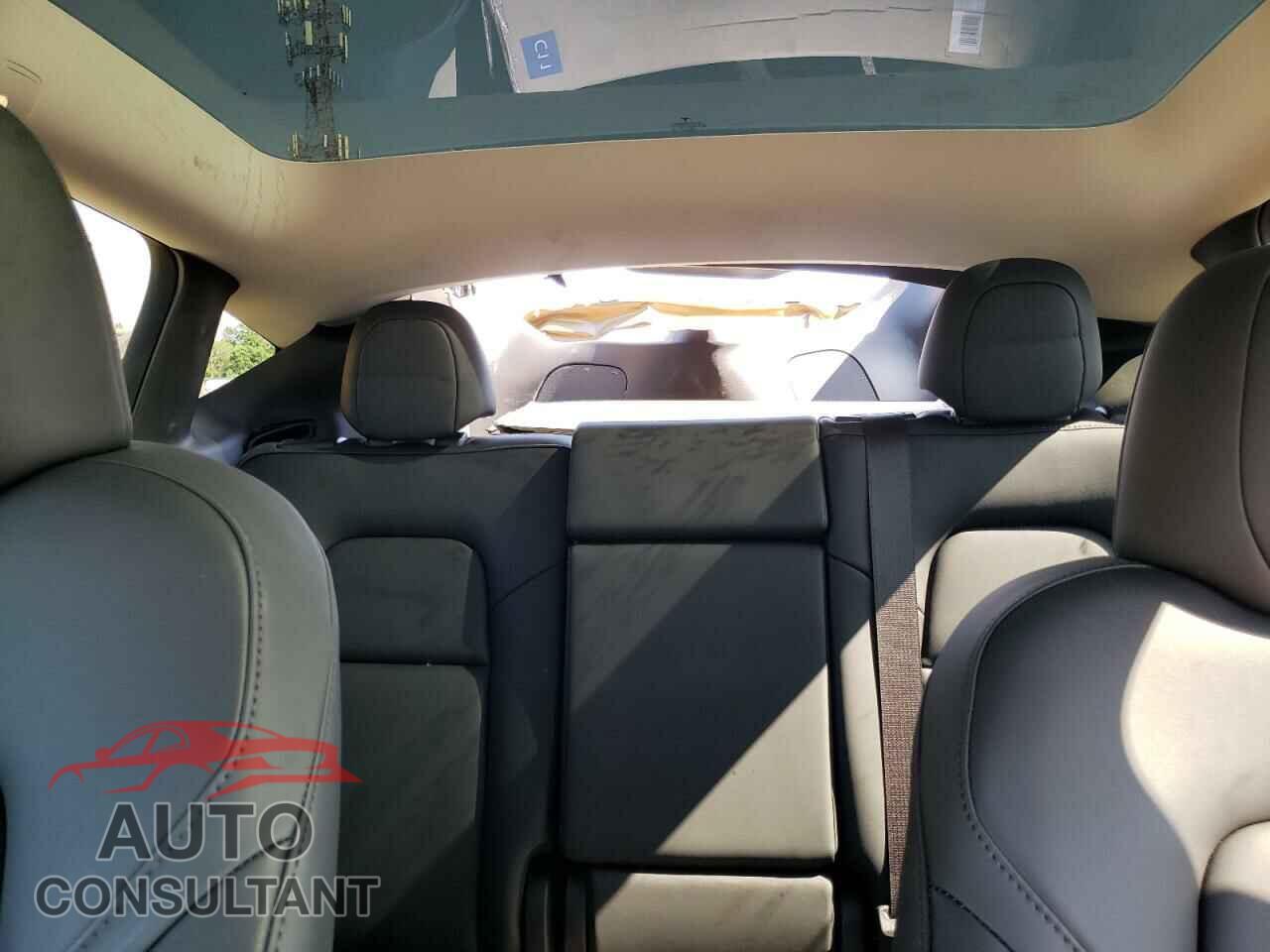 TESLA MODEL Y 2024 - 7SAYGDED4RF091972