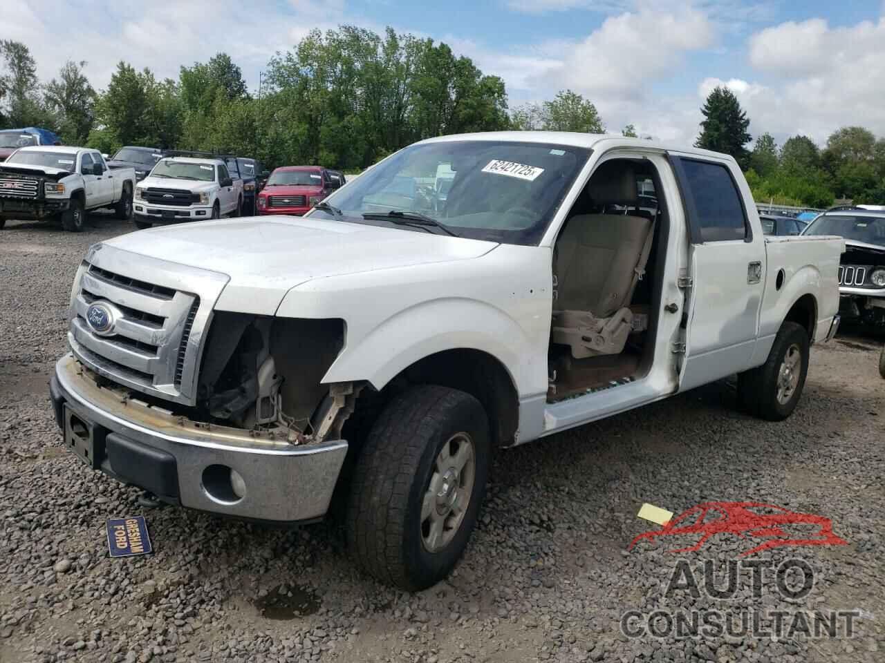 FORD F-150 2010 - 1FTFW1EV1AFC36397