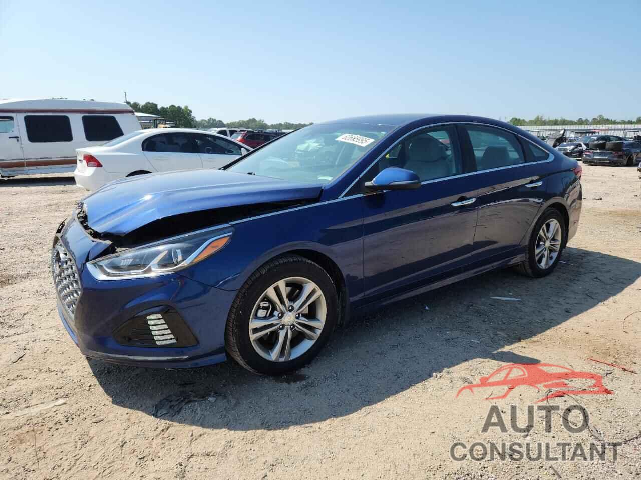 HYUNDAI SONATA 2019 - 5NPE34AF4KH799777