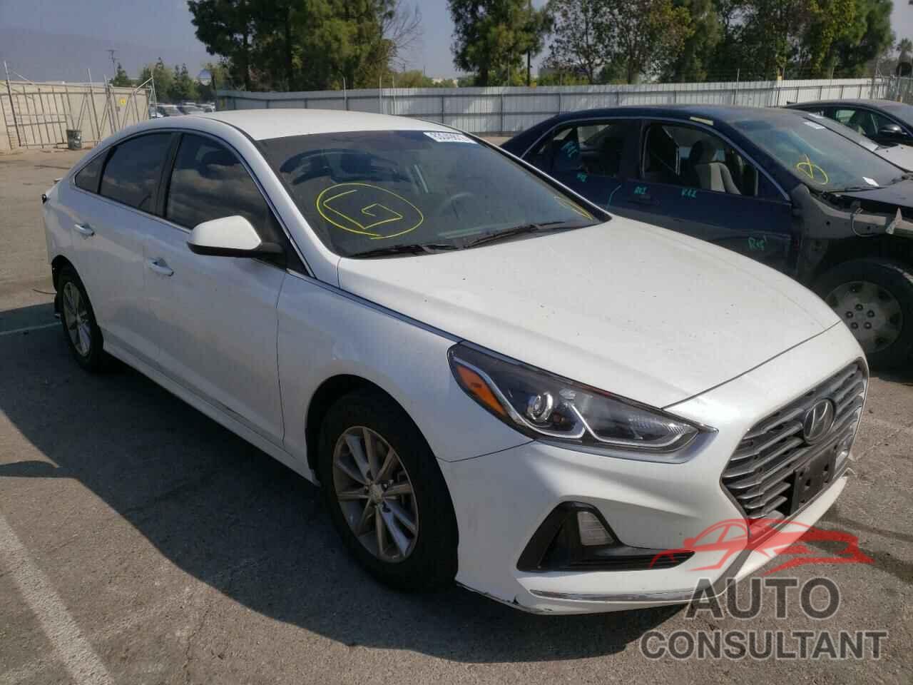 HYUNDAI SONATA 2018 - 5NPE24AF7JH598344