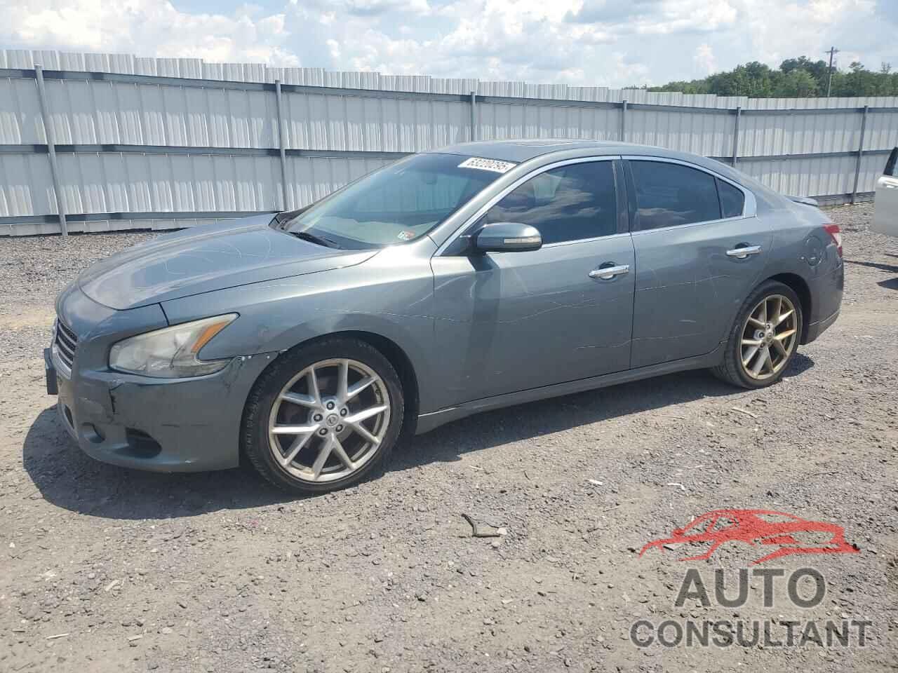 NISSAN MAXIMA 2009 - 1N4AA51E69C808928