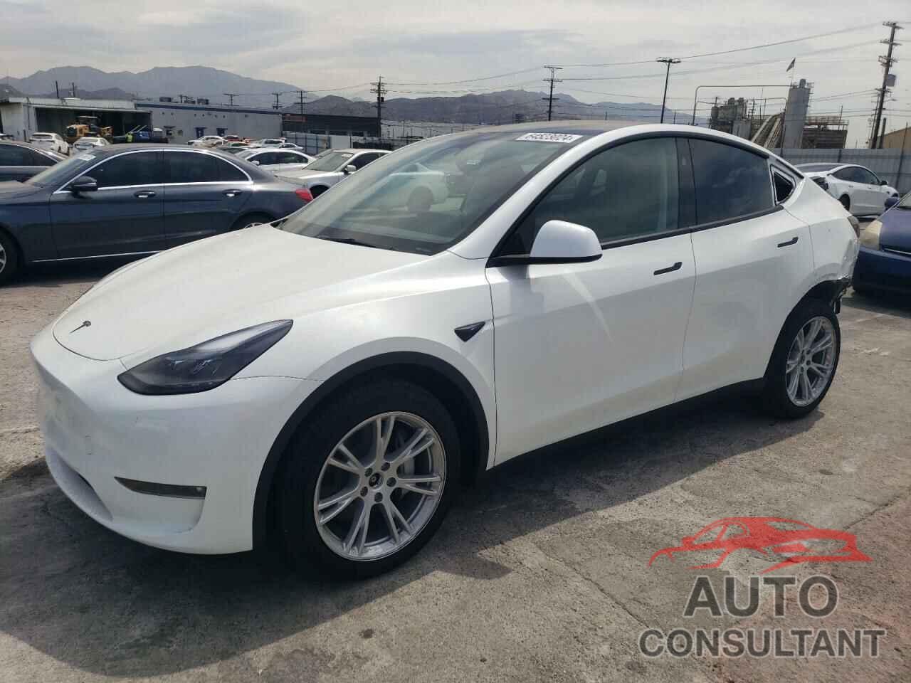 TESLA MODEL Y 2024 - 7SAYGDEE5RF085638