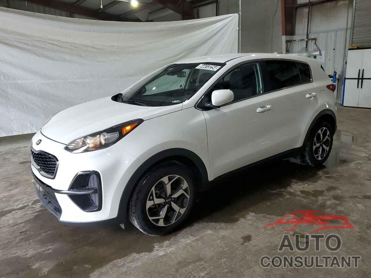 KIA SPORTAGE 2022 - KNDPM3AC6N7006803