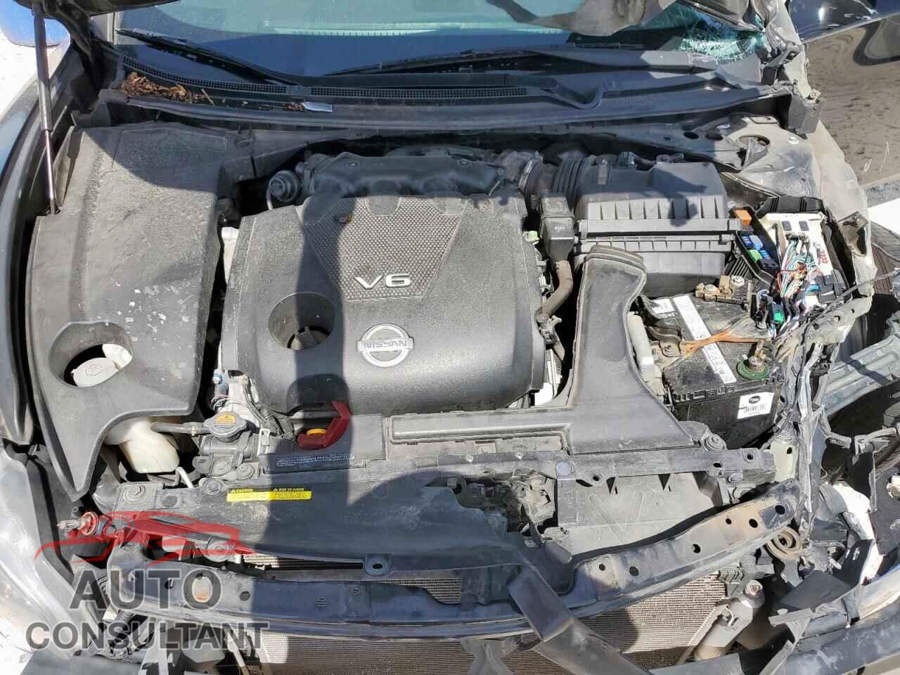 NISSAN MAXIMA 2009 - 1N4AA51EX9C857839