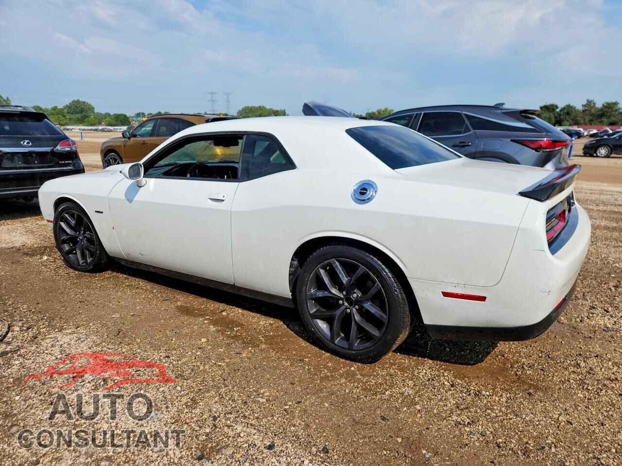 DODGE CHALLENGER 2019 - 2C3CDZBT8KH513397