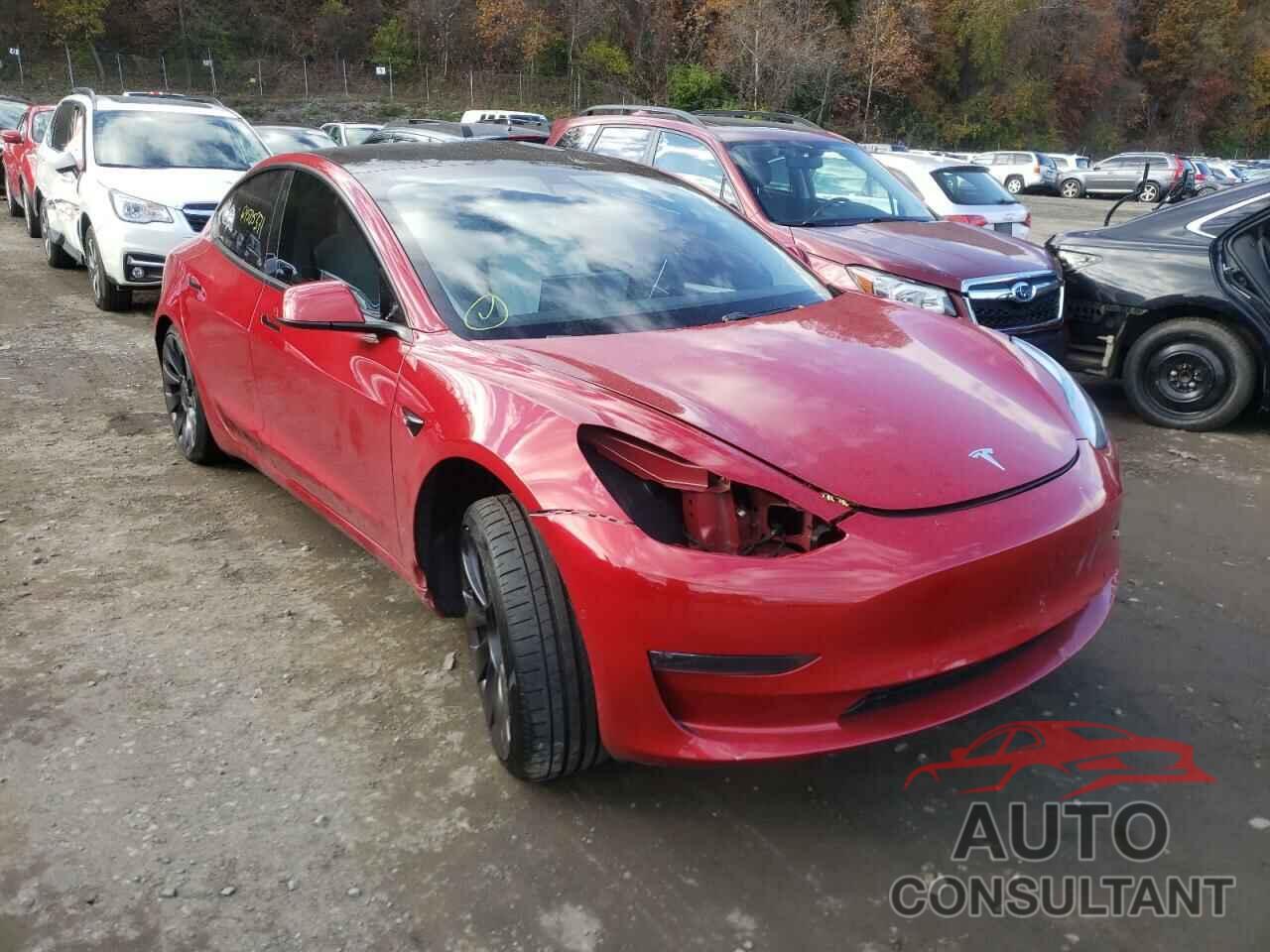 TESLA MODEL 3 2021 - 5YJ3E1EC8MF985016