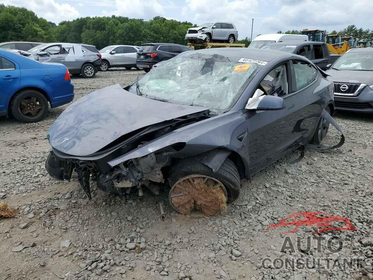 TESLA MODEL 3 2021 - 5YJ3E1EA1MF082849