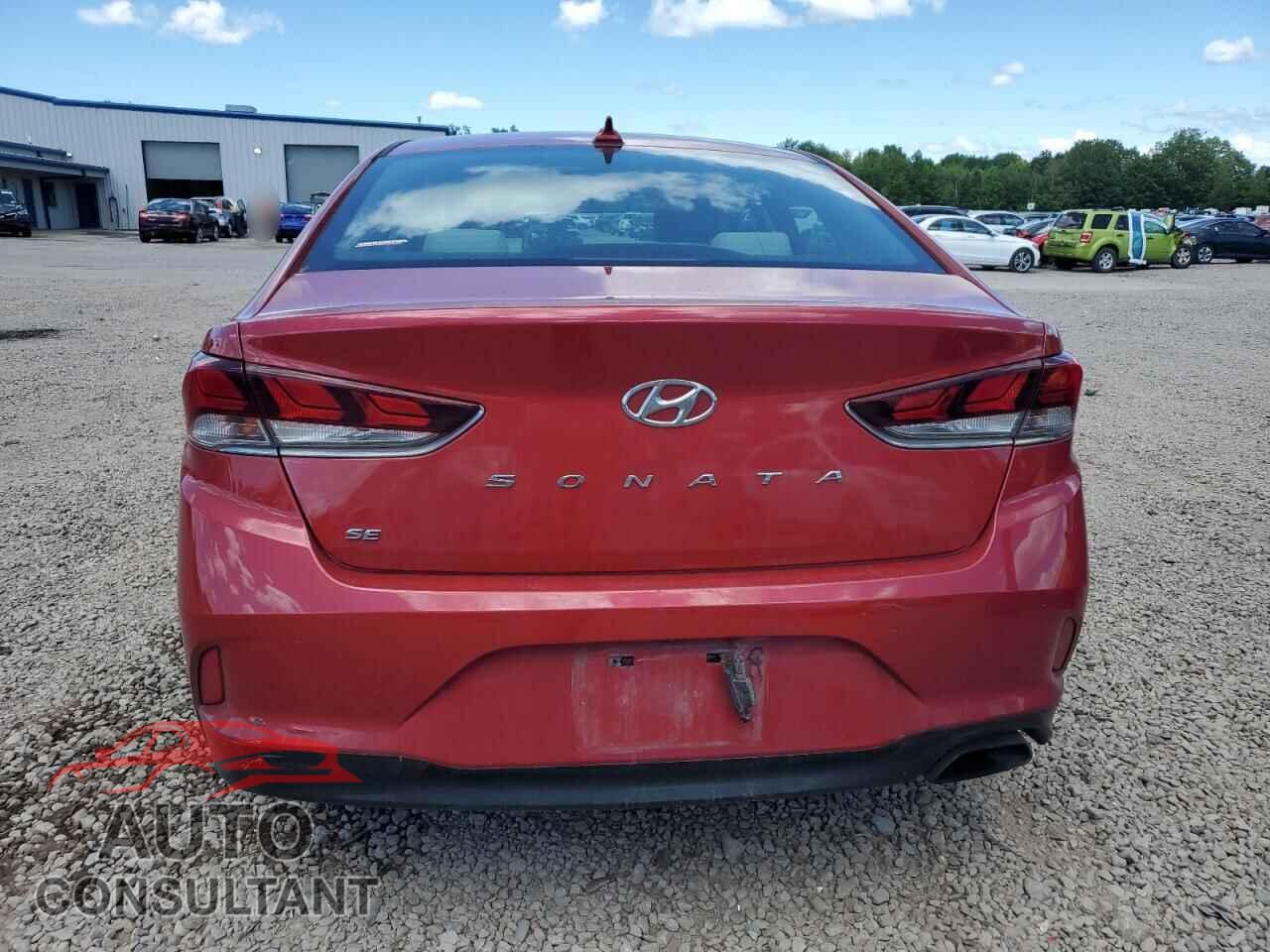 HYUNDAI SONATA 2019 - 5NPE24AF8KH741190