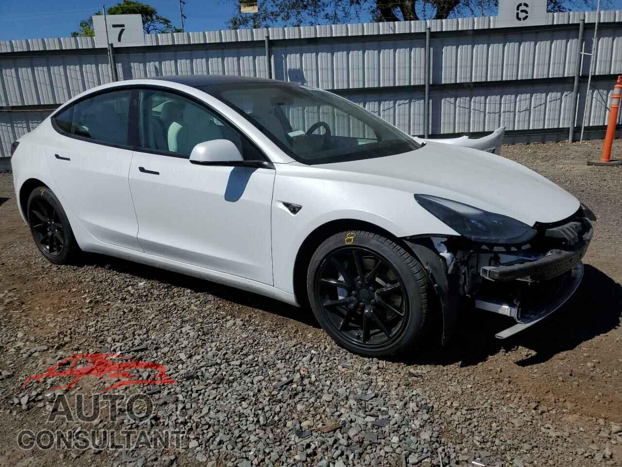 TESLA MODEL 3 2021 - 5YJ3E1EA3MF877904