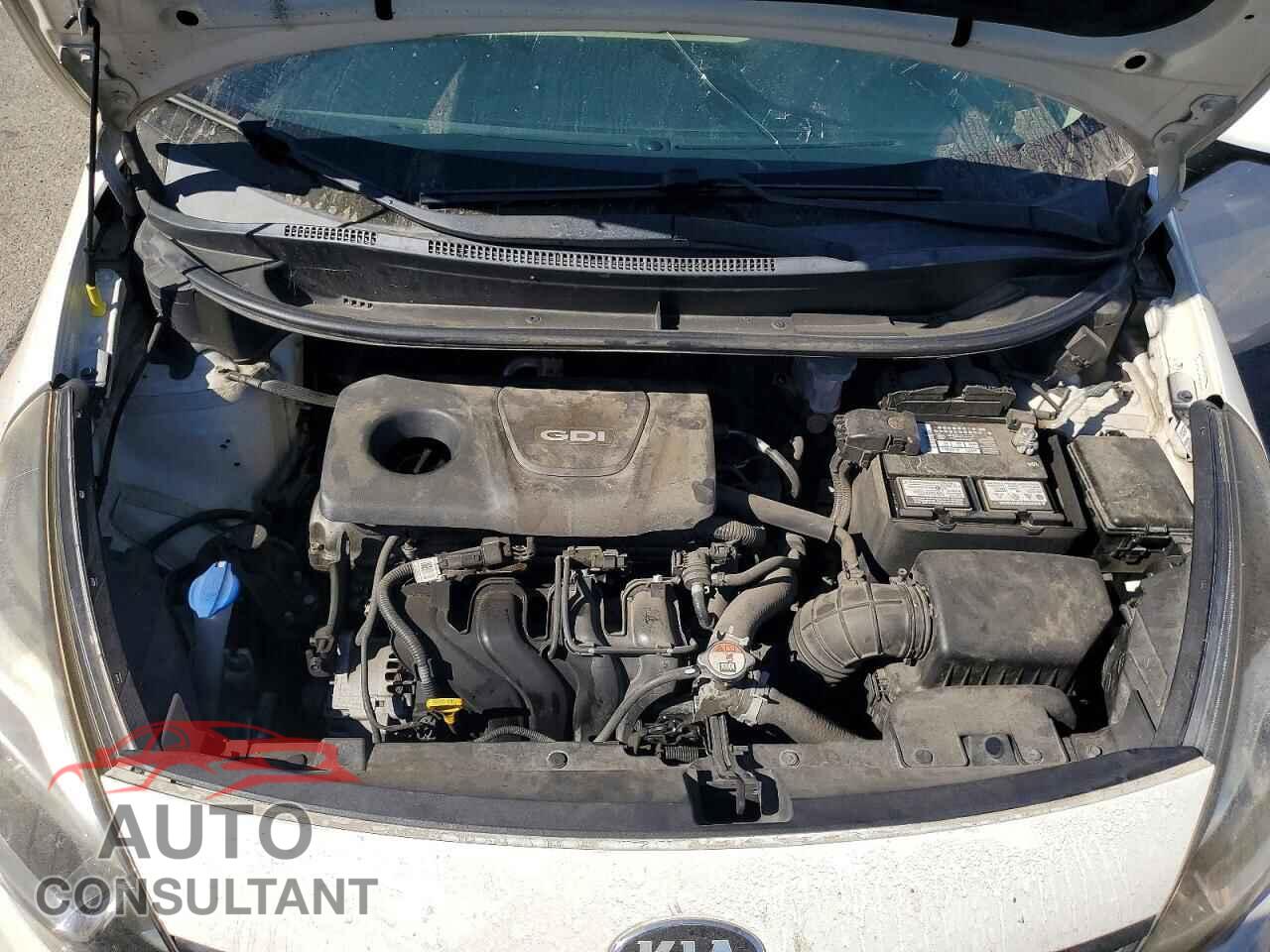 KIA RIO 2016 - KNADM4A34G6691771
