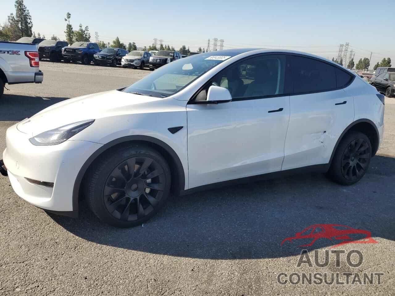 TESLA MODEL Y 2024 - 7SAYGDED1RF095591