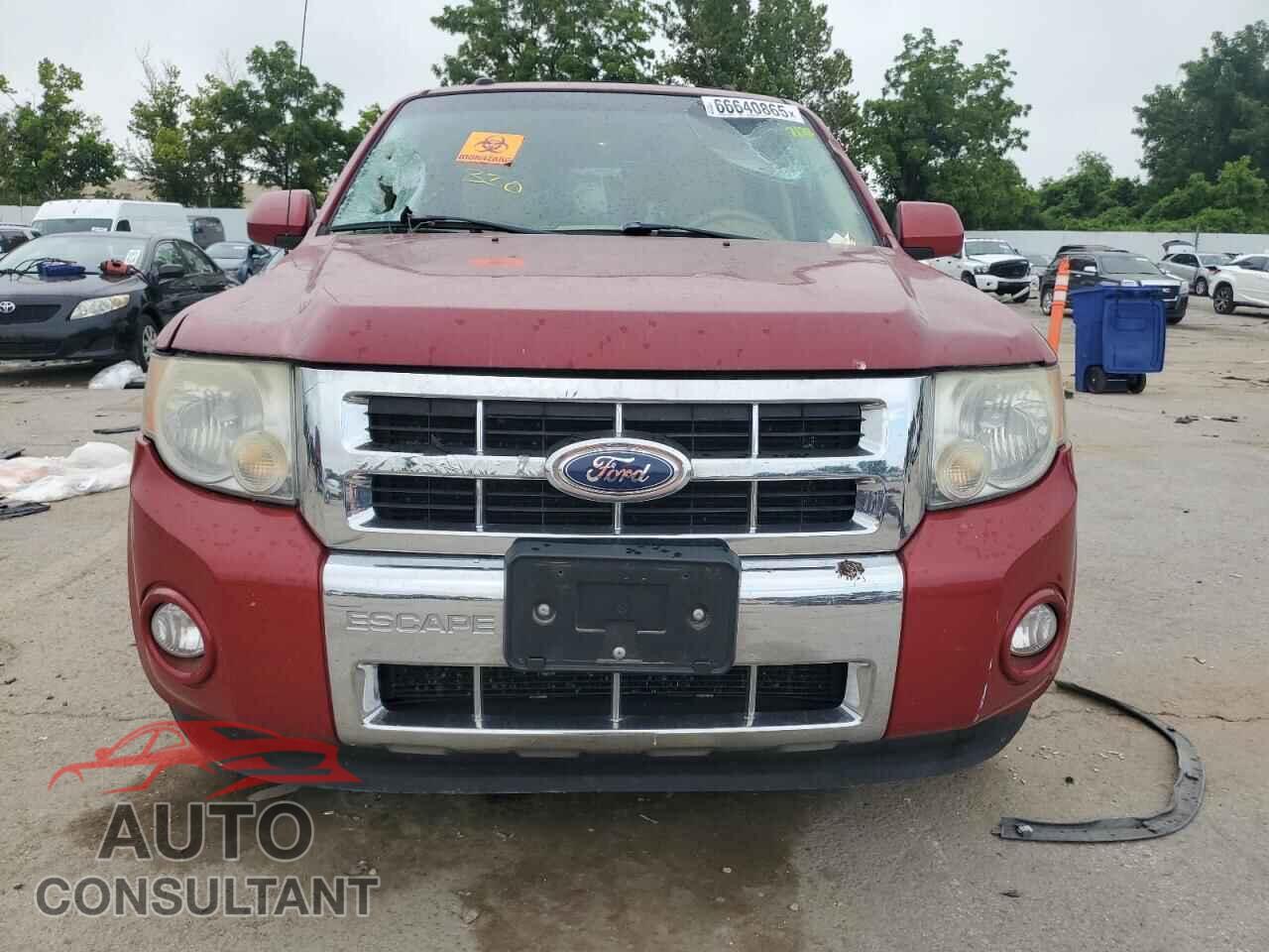 FORD ESCAPE 2010 - 1FMCU0EG4AKB77448