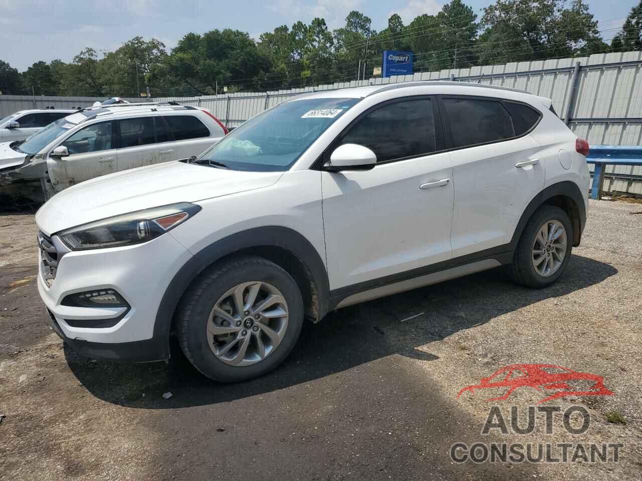 HYUNDAI TUCSON 2017 - KM8J33A43HU273108