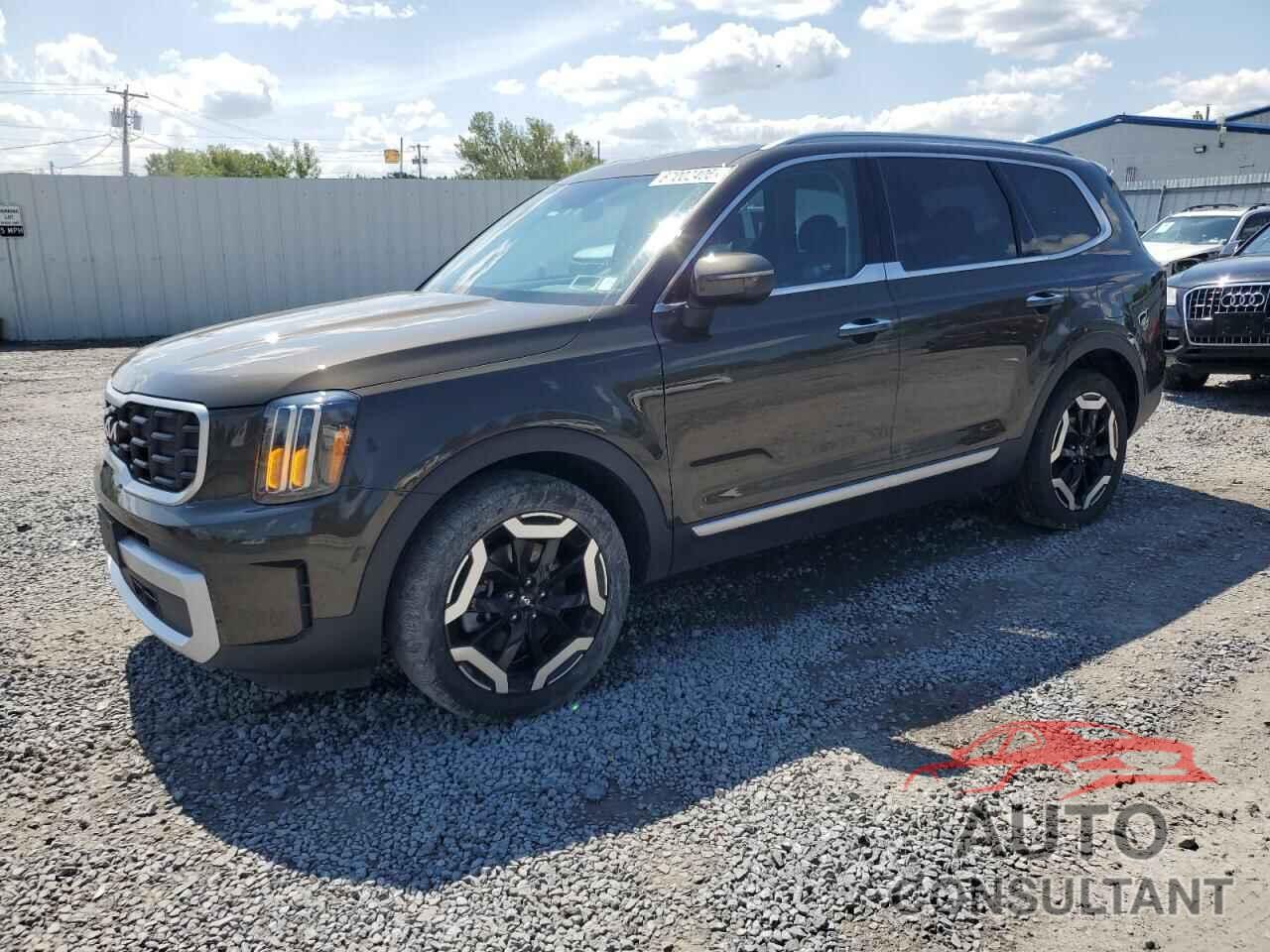 KIA TELLURIDE 2024 - 5XYP6DGC8RG519423