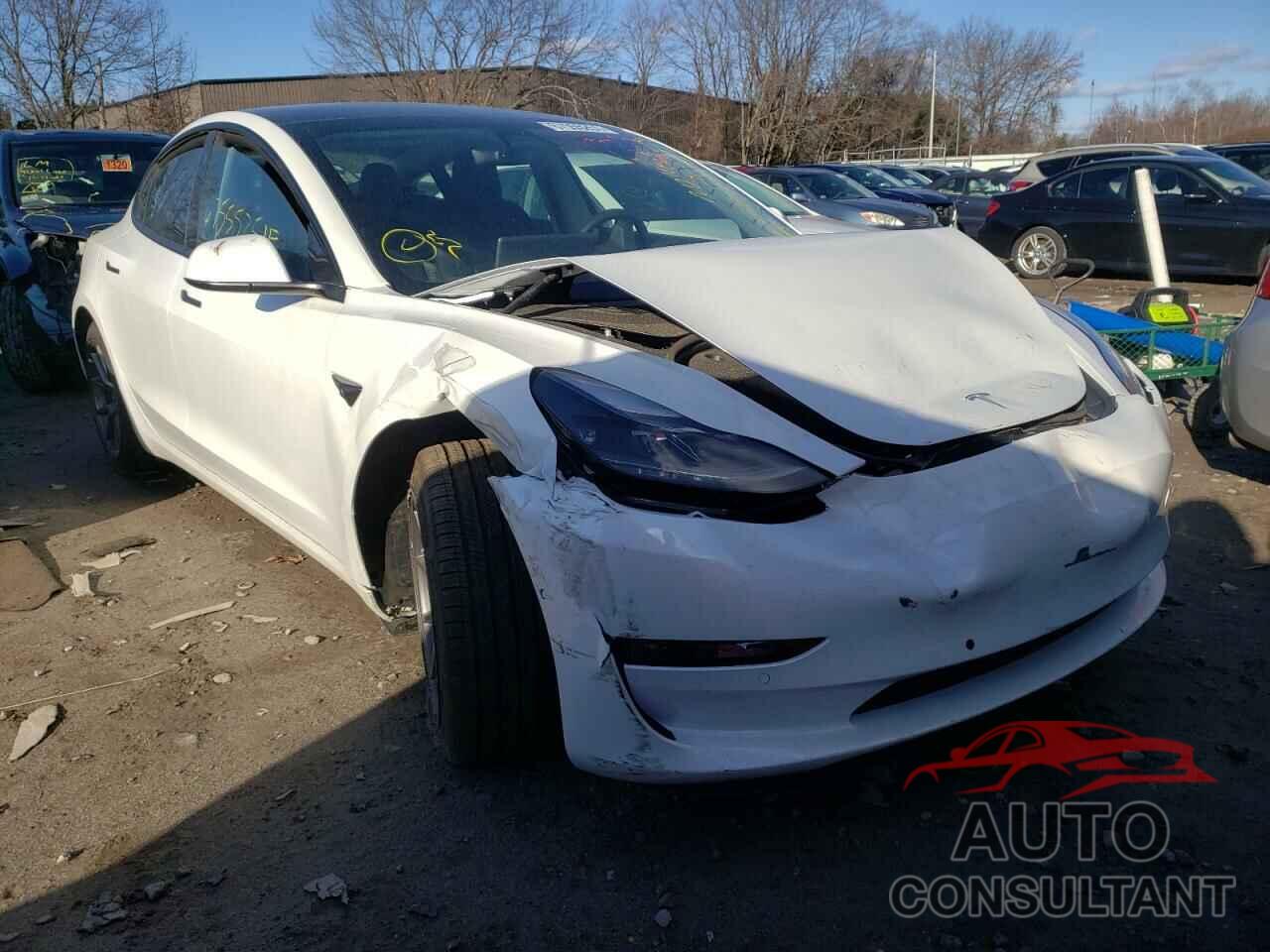 TESLA MODEL 3 2021 - 5YJ3E1EB6MF055302