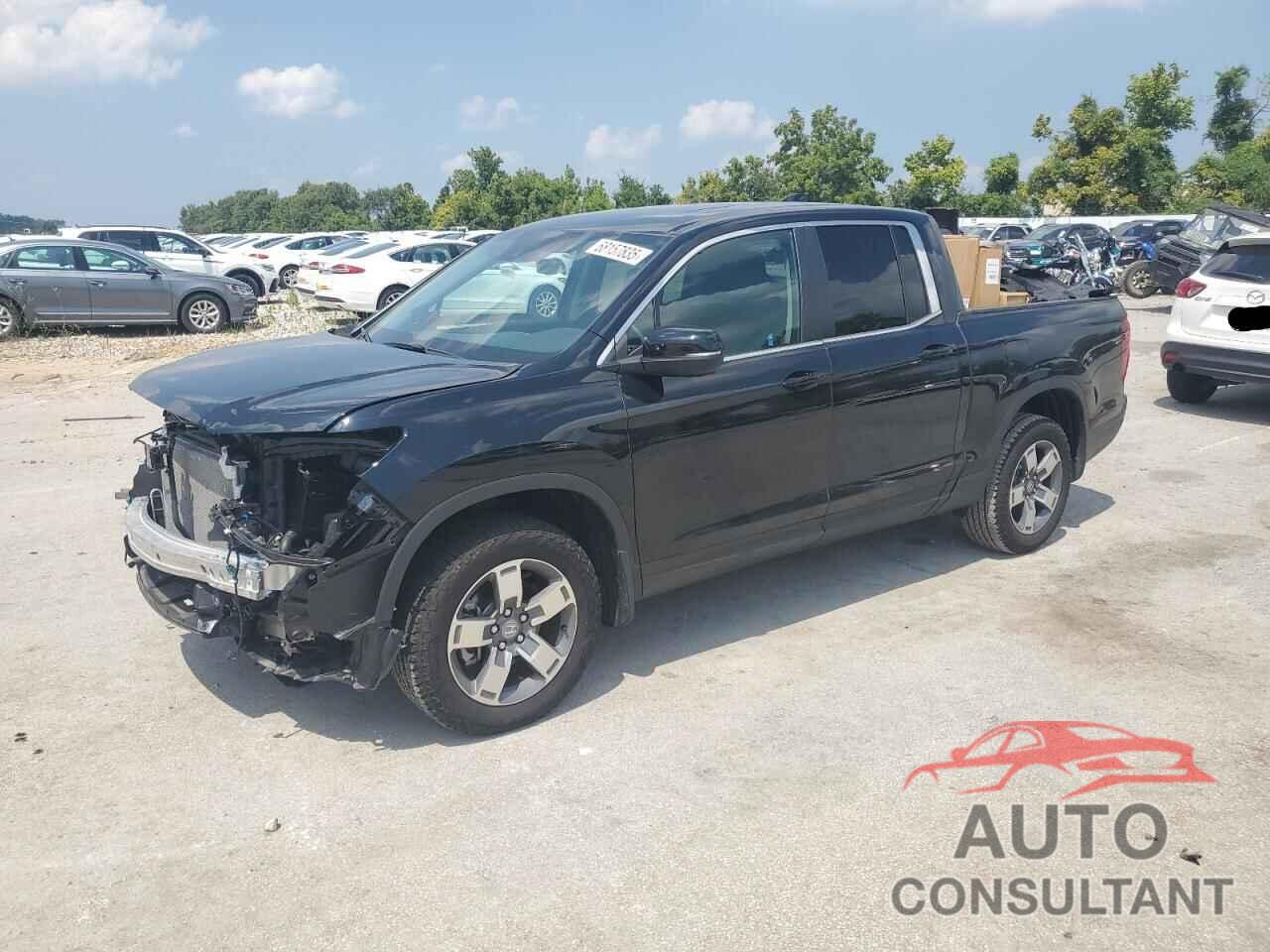 HONDA RIDGELINE 2024 - 5FPYK3F59RB026457