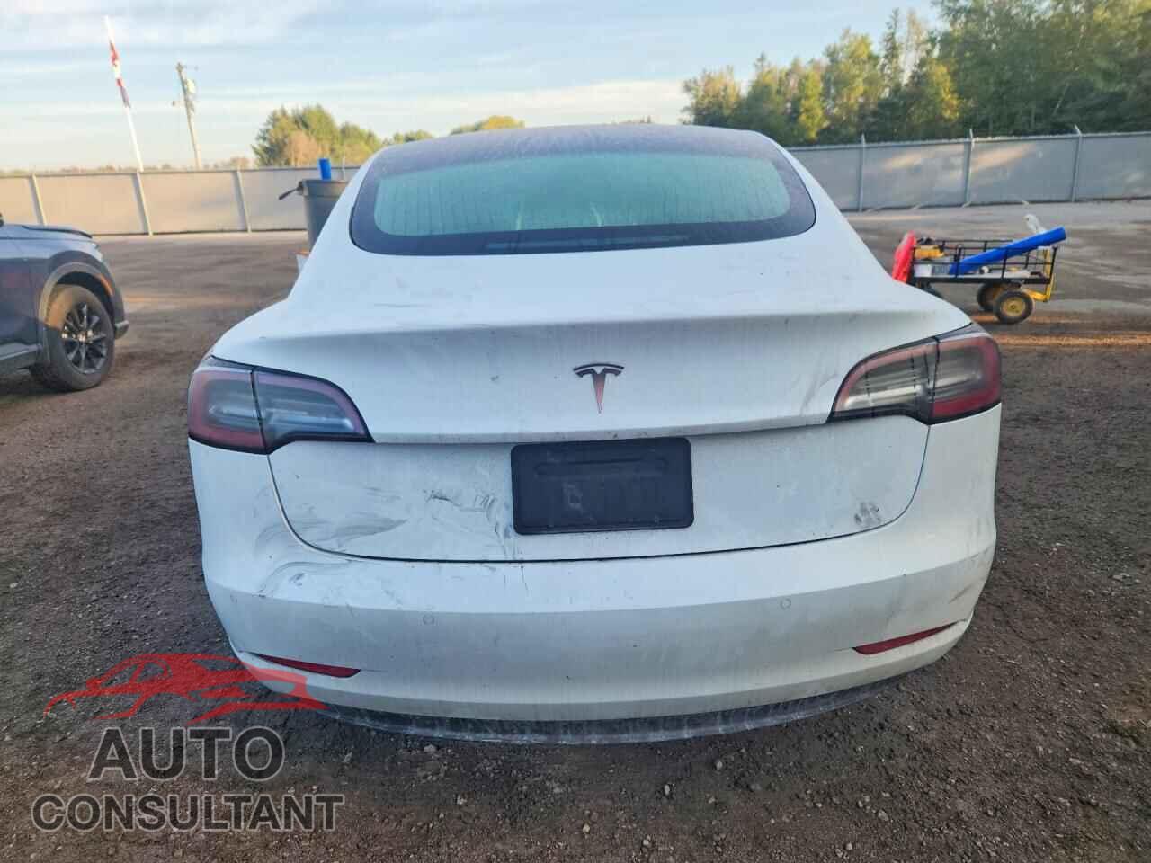 TESLA MODEL 3 2020 - 5YJ3E1EA4LF789636