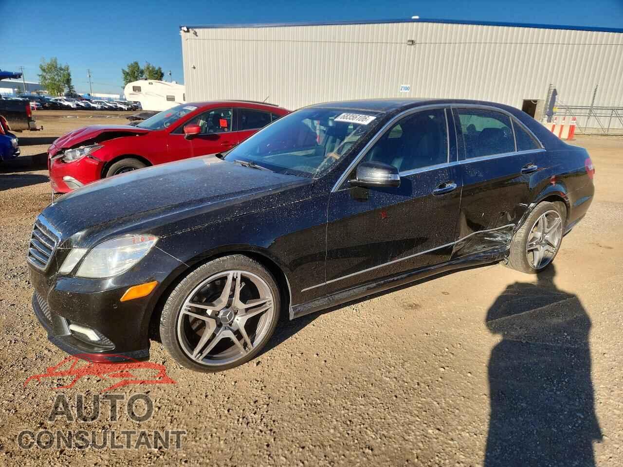 MERCEDES-BENZ E-CLASS 2010 - WDDHF9AB9AA179906