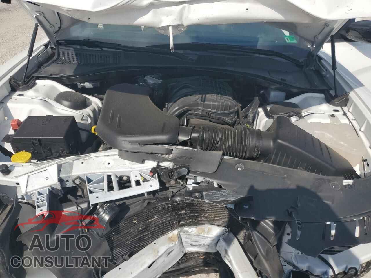 DODGE CHARGER 2023 - 2C3CDXBGXPH698163