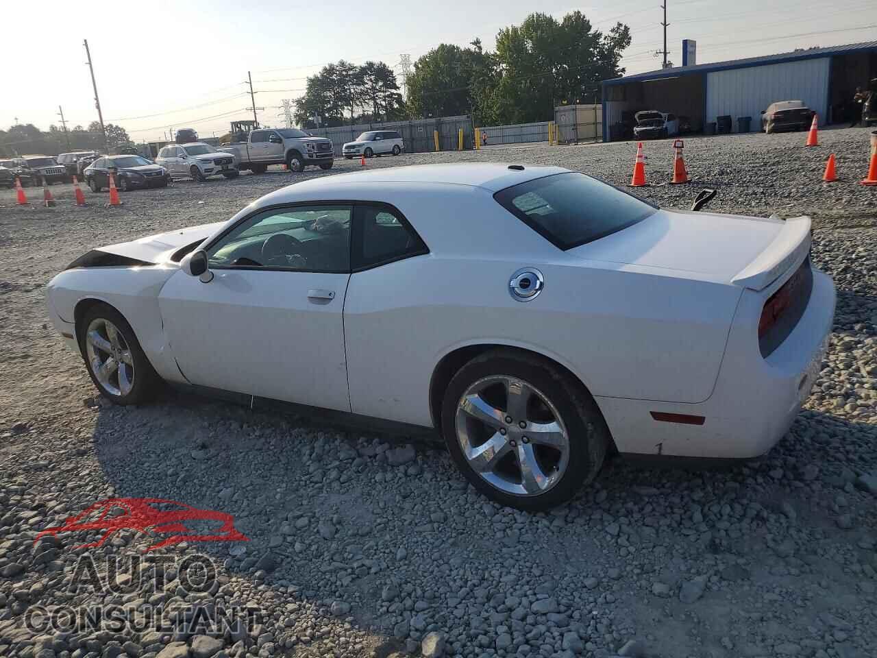 DODGE CHALLENGER 2013 - 2C3CDYAG3DH520114