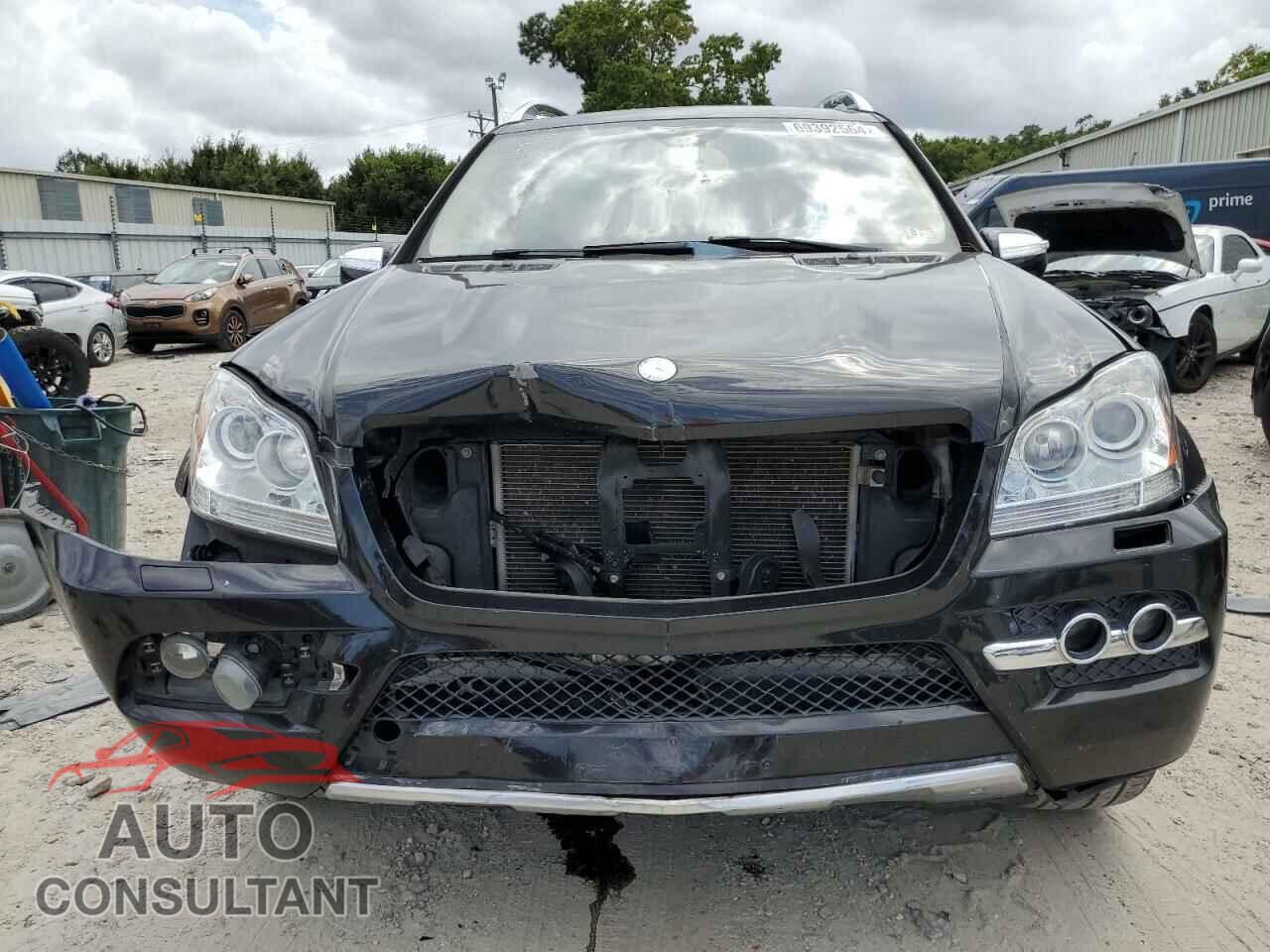 MERCEDES-BENZ GL-CLASS 2010 - 4JGBF7BE0AA565445
